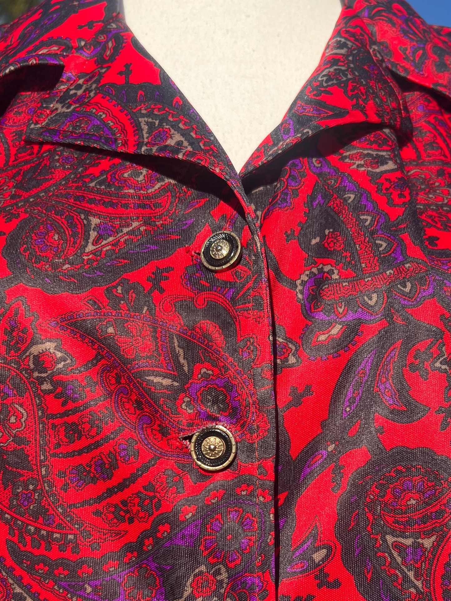 Red and Purple Paisley Shirt