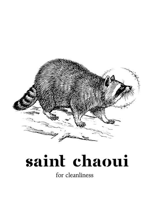 Swamp Saints Raccoon 5x7 Print